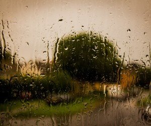Rain On The Window Wallpaper